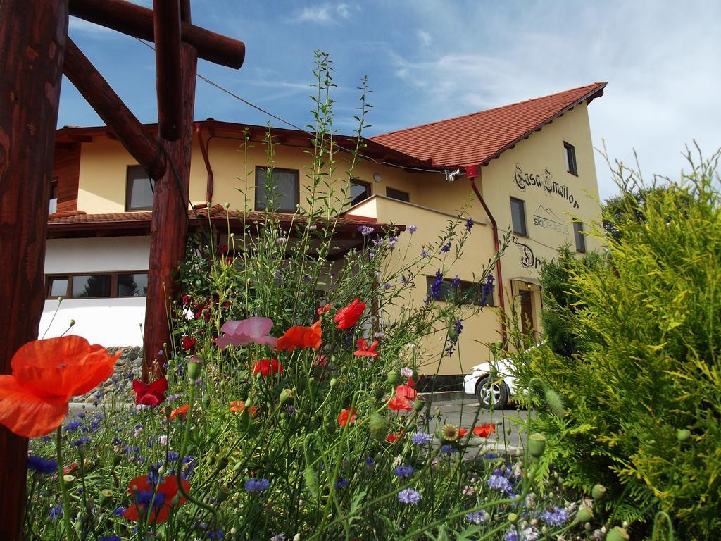 Pensiunea Casa Zmeilor Dragus Exterior foto