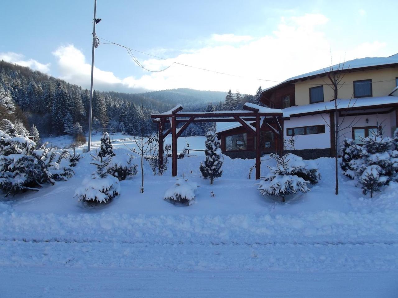 Pensiunea Casa Zmeilor Dragus Exterior foto